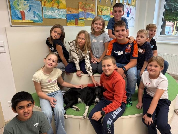 Therapiehund Cooper