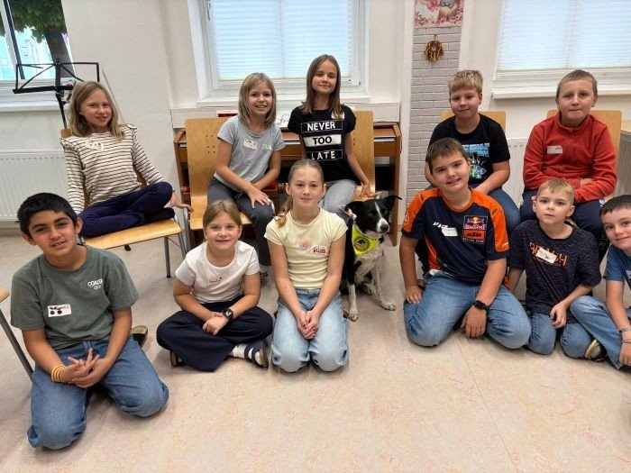Therapiehund Cooper